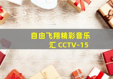 自由飞翔精彩音乐汇 CCTV-15